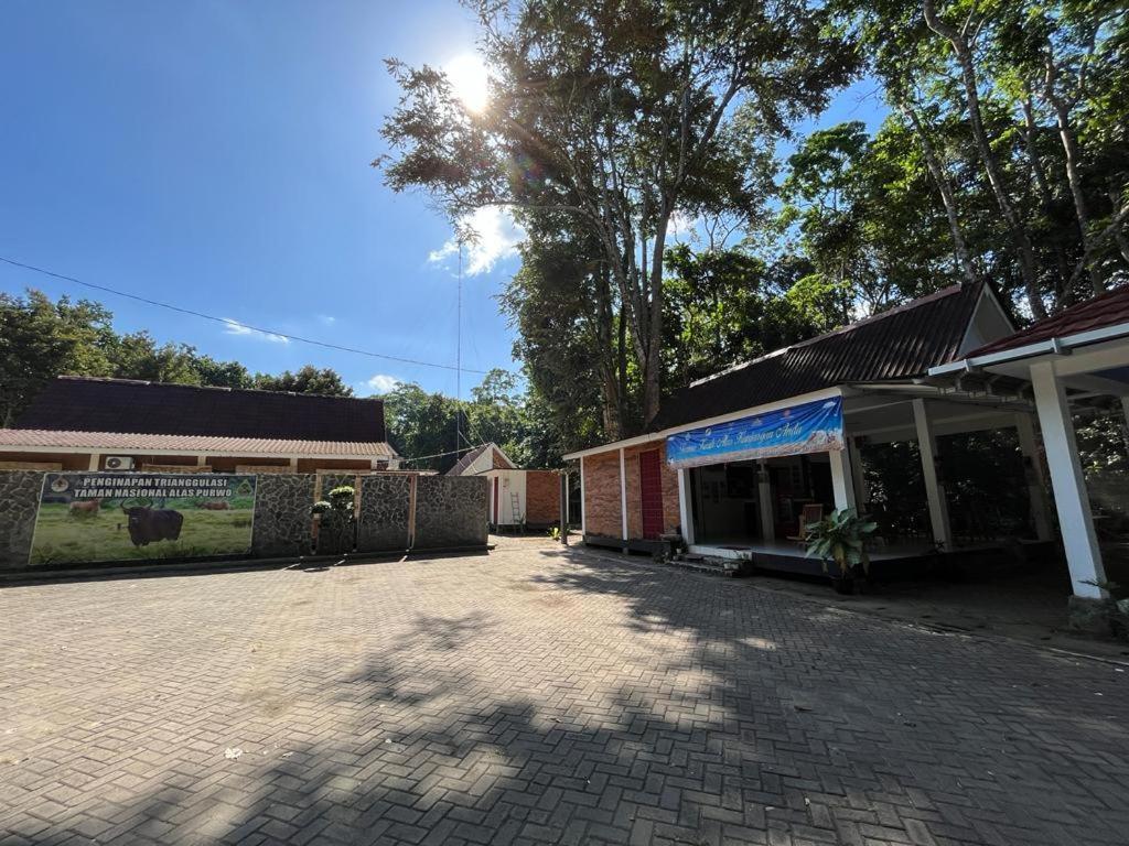Capital O 92612 Penginapan D'Alas Purwo & Beachnearpadang Savana Sadengan Banyuwangi  Exterior foto